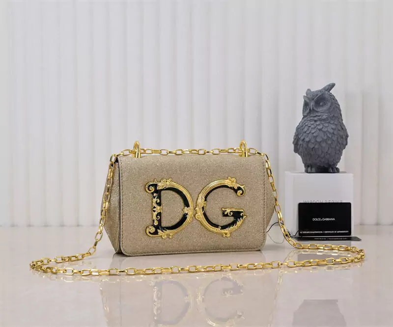 dolce  gabbana dg fashion mini sac a main s_1042662